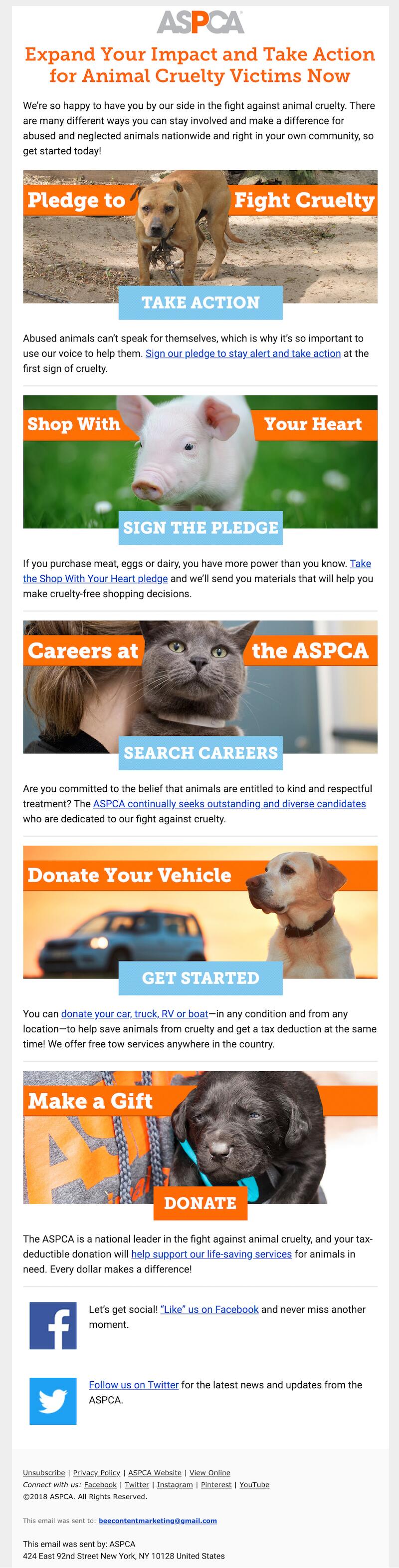 nonprofit email design example