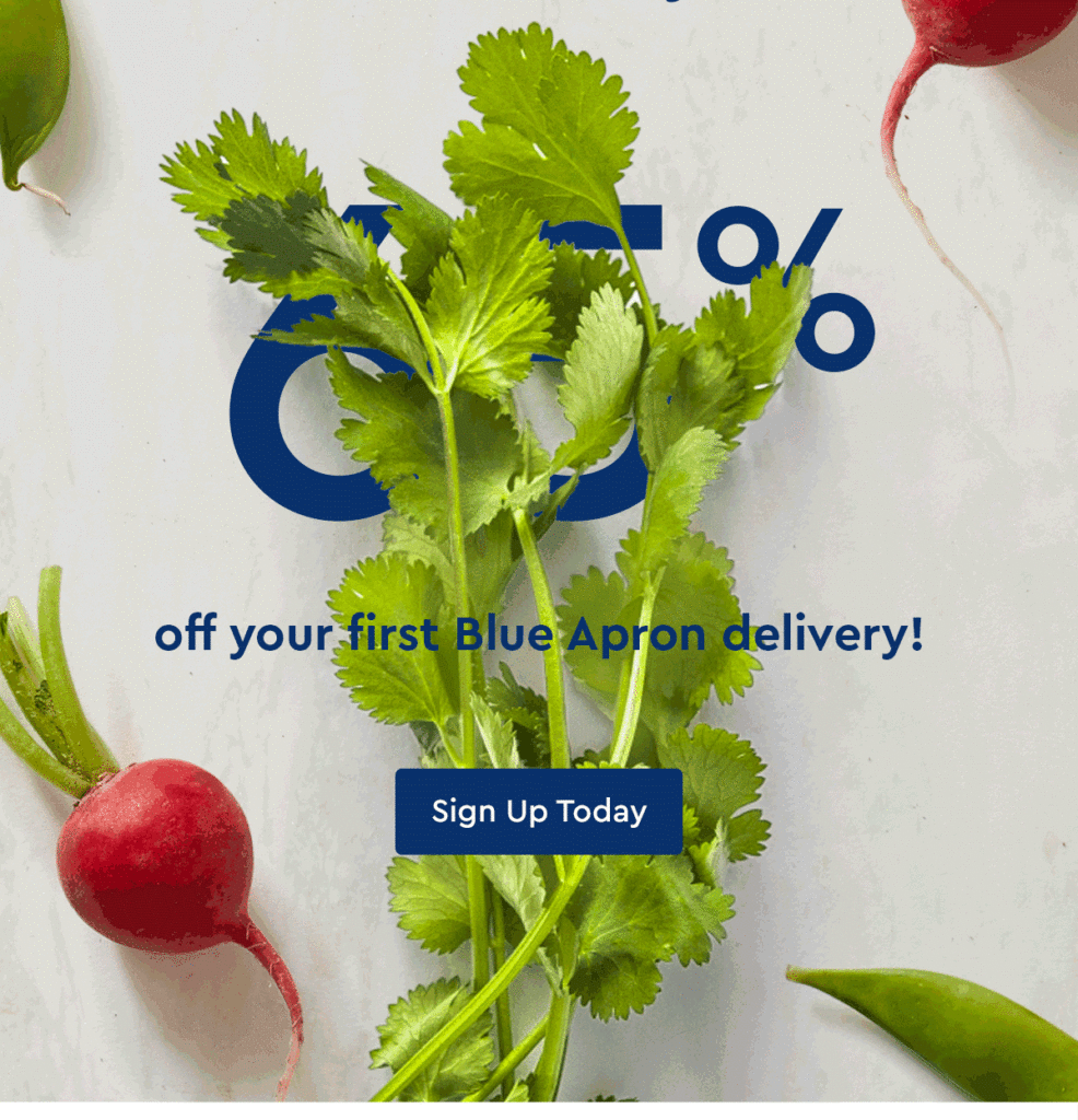 Blue Apron food industry email design 