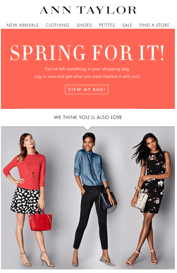 ann-taylor abandoned cart email template