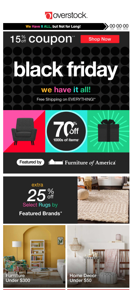 overstock black friday email example