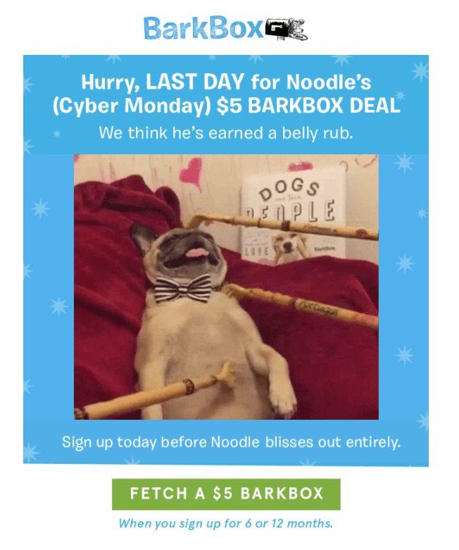 barkbox pet industry emails