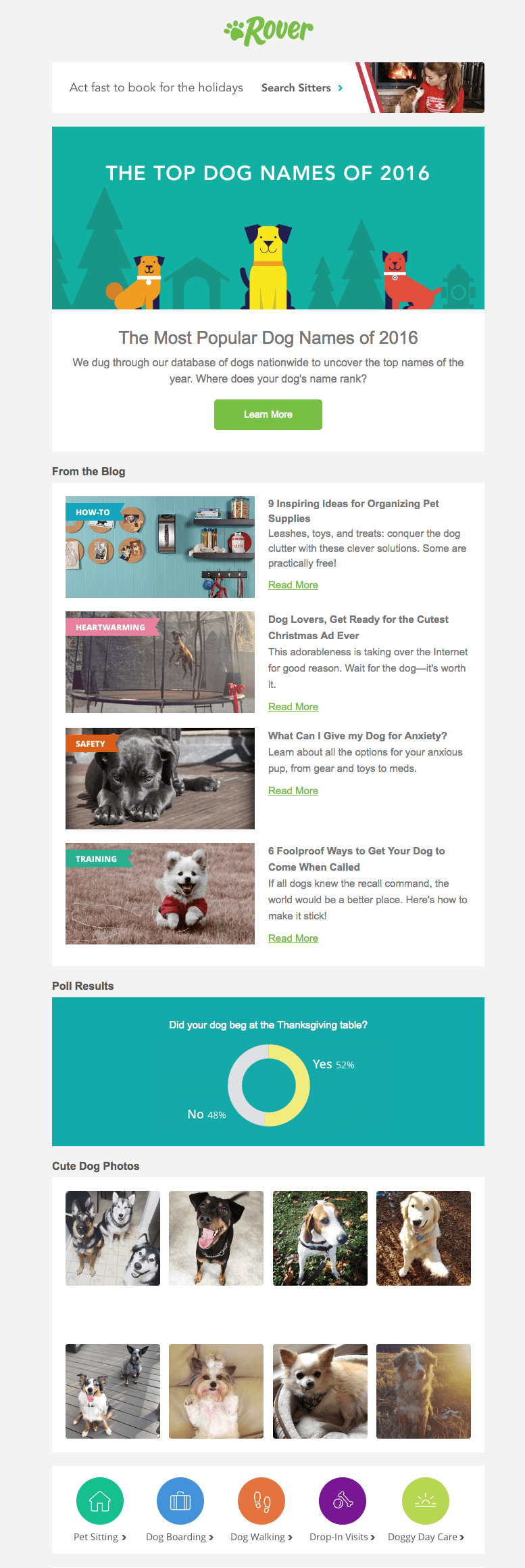 rover pet industry emails