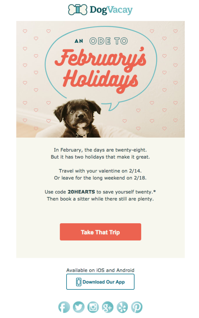 dog vacay pet industry emails