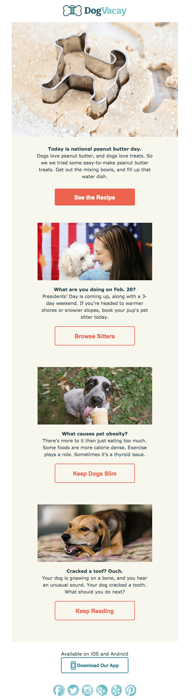 dog vacay pet industry emails