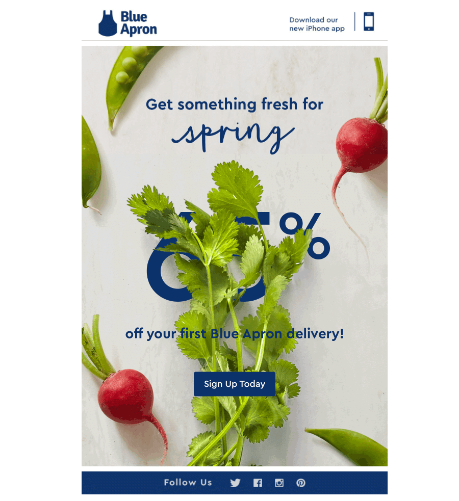 Blue Apron food industry email design 