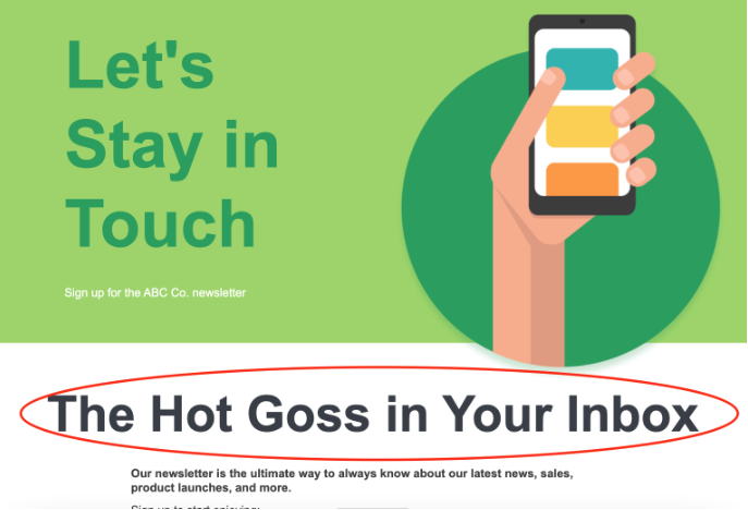 ABC Co. newsletter landing page examples