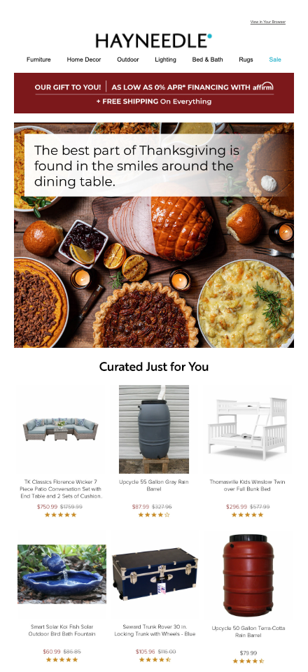 Hayneedle thanksgiving email